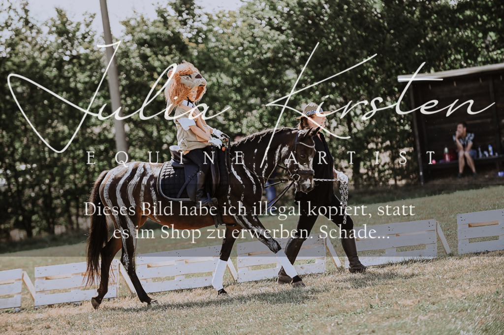 DSC_9088 | Pferde- und Turnierfotografie in Westsachsen. Pferdeportraits, Auftragszeichnungen und intuitive Kunst.