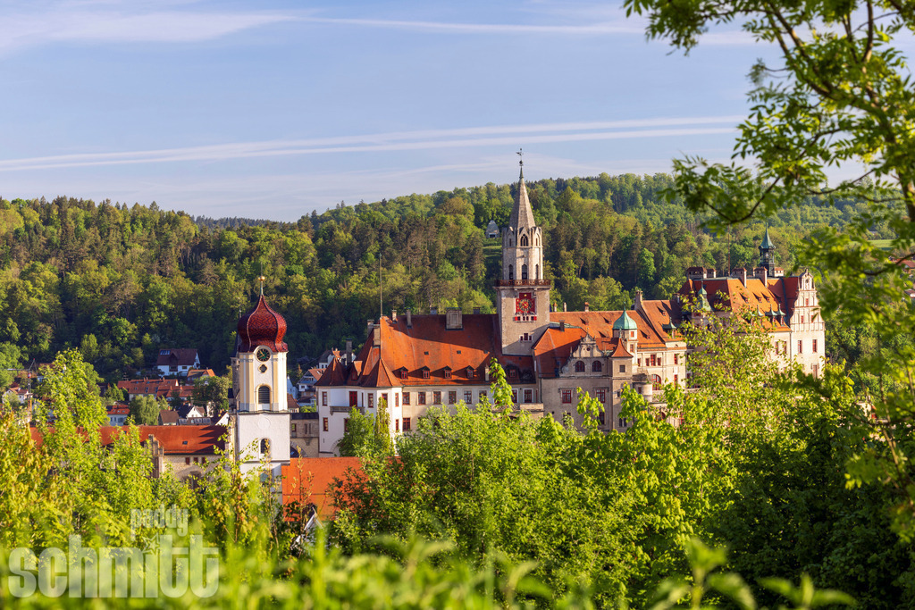 PS-Sigmaringen-2026-05 | Entdecke die größte Bildgalerie der Region mit Fotografien aus dem Allgäu, der Bodenseeregion, Oberschwaben, dem Donautal und der Schwäbischen Alb. Landschaften, Luftaufnahmen und Reisefotografie als Wandbild und Fotokunst. - Realisiert mit Pictrs.com