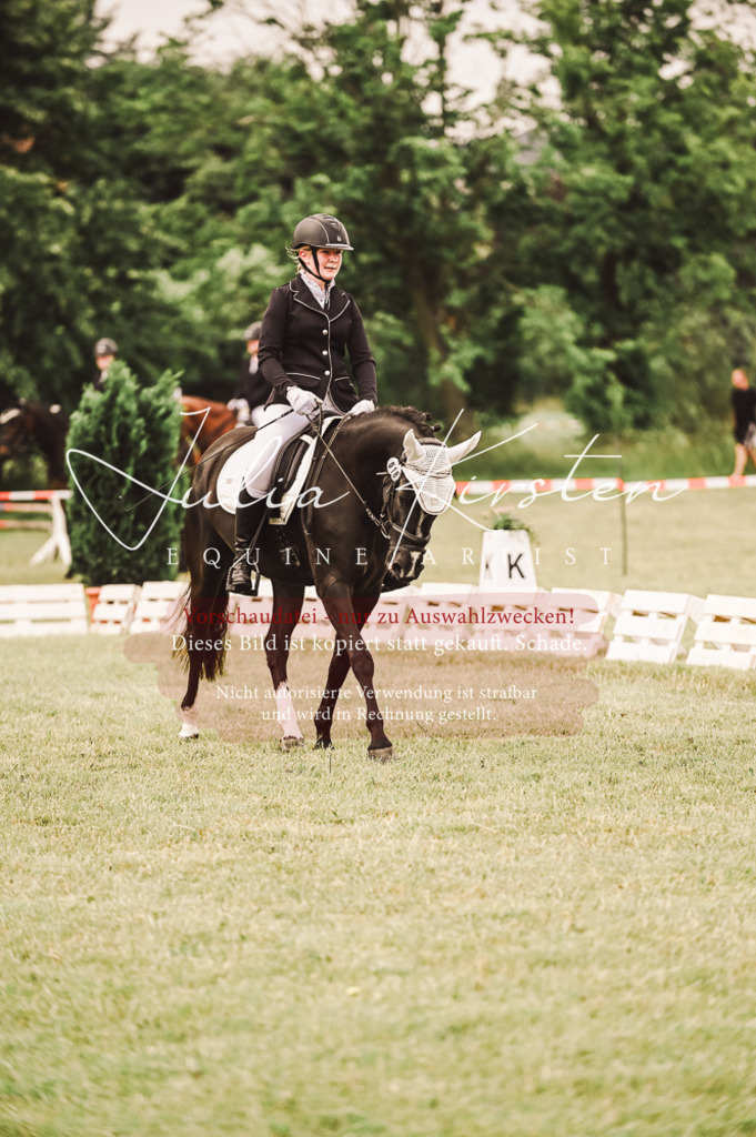 DSC_4801 | Pferde- und Turnierfotografie in Westsachsen. Pferdeportraits, Auftragszeichnungen und intuitive Kunst.