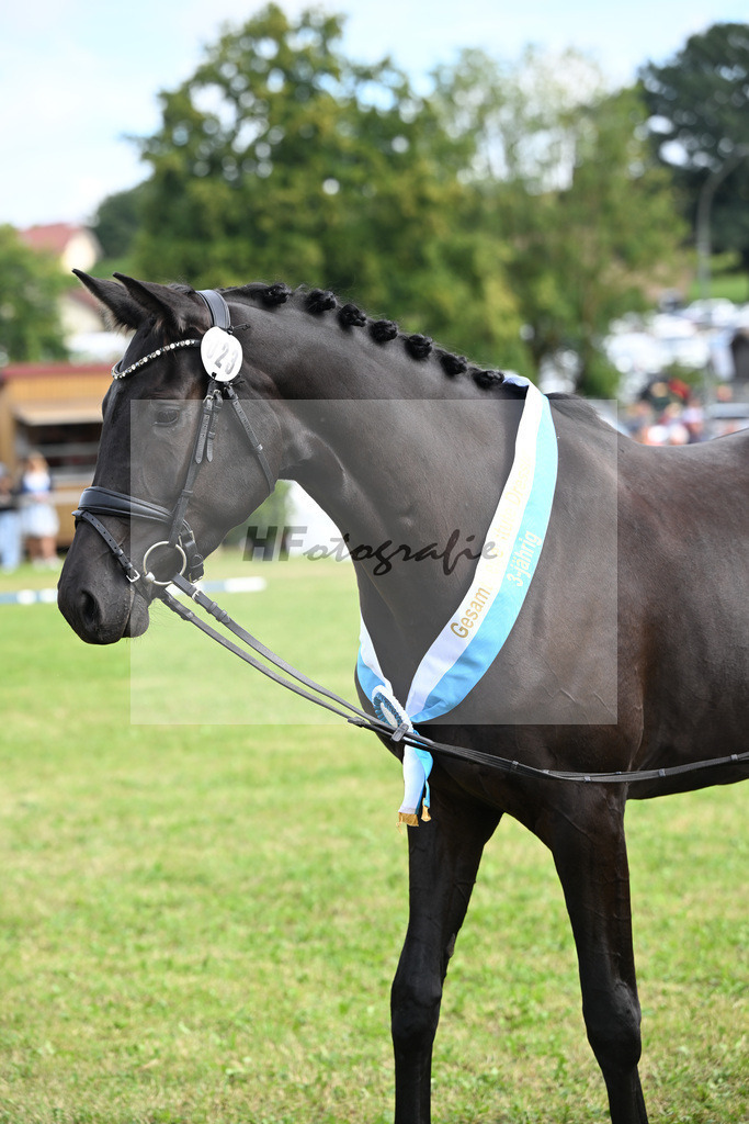 Kat-Nr. 23 Basics Zaubermaus H.S. v. Millennium_Sommer_30250658 | hf-fotografie - Realizzato con Pictrs.com
