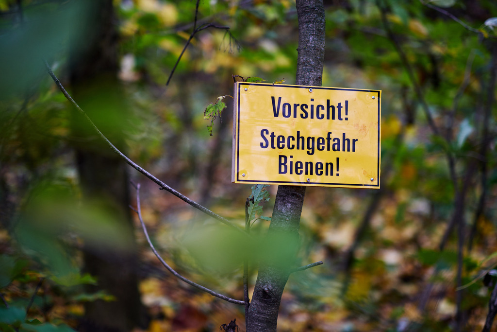 Tafel mit Hinweis Vorsicht Stechgefahr Bienen | Pillichsdorf, Austria - November 14, 2020: Tafel mit Hinweis Vorsicht Stechgefahr Bienen im Wald. - Realisiert mit Pictrs.com