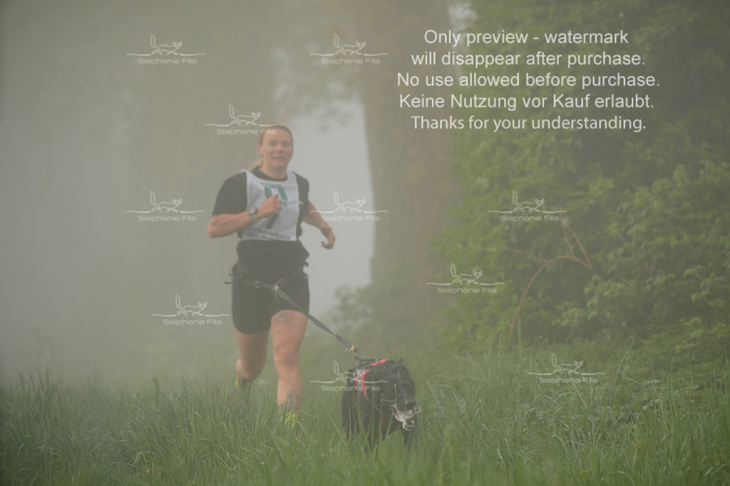 SA_GL2-37 | stephaniefillaphotographie - Realisiert mit Pictrs.com