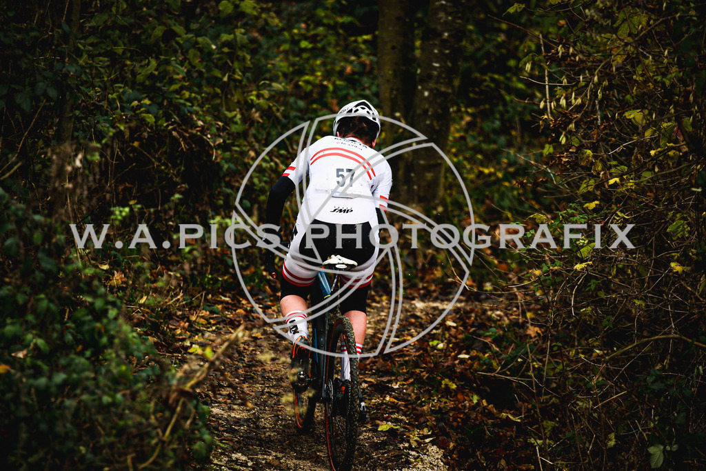 ..... | AUSTRIA, 24.11.24, 3.Radquerfeldein GP um das Sportzentrum Gunskirchen Image shows: Photo: Wapics / Andreas Willdoner