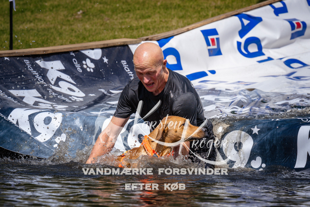 _ZZ966411019 | kk-dogfotos