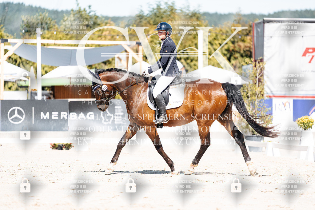 CK909374 | Turnierfotografie Pferdefotografie Trier Rheinland-Pfalz Pferdesport Reitsport Tierfotografie Sportfotografie Pferdevideo Pferdevideografie Equestrianvideography equestrianphotography  - Realisiert mit Pictrs.com
