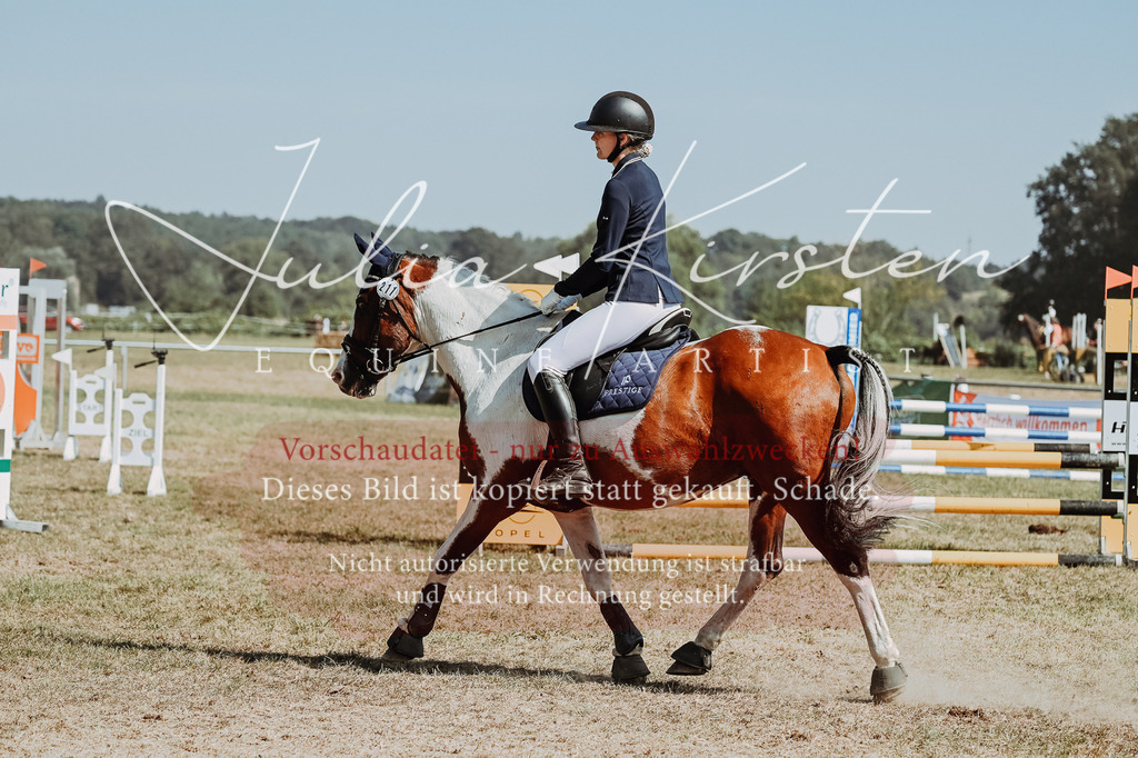 DSC_9978 | Pferde- und Turnierfotografie in Westsachsen. Pferdeportraits, Auftragszeichnungen und intuitive Kunst.