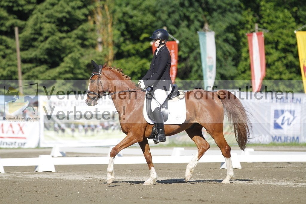 _MG_0445 | equestrian-live-com