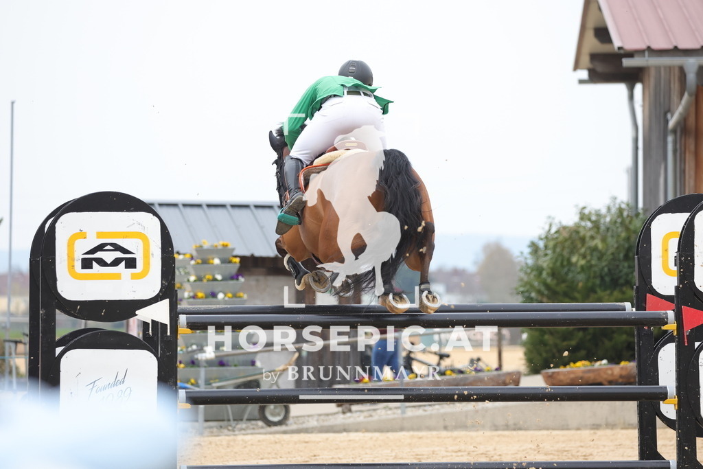 0P6A7751 | Willkommen bei Brunnmayr - Design & Fotografie – Ihrem Spezialisten für Reitturniere und Pferdeveranstaltungen in Oberösterreich, Salzburg und Bayern! Seit über 17 Jahren sind wir leidenschaftlich dabei.