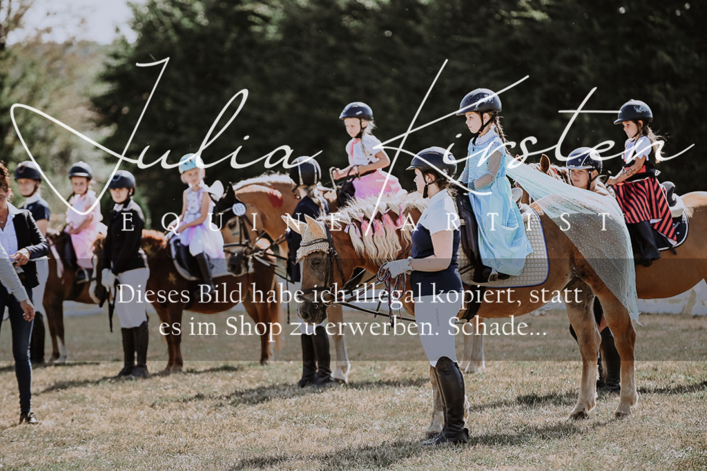 DSC_9064 | Pferde- und Turnierfotografie in Westsachsen. Pferdeportraits, Auftragszeichnungen und intuitive Kunst.
