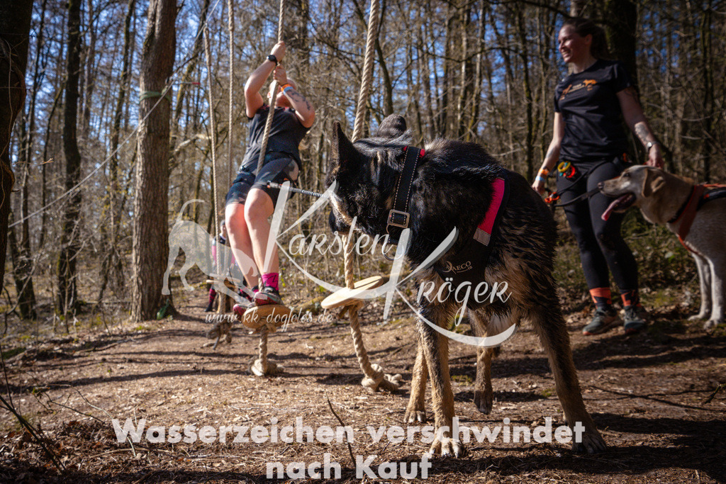1115_ZZ97174 | kk-dogfotos