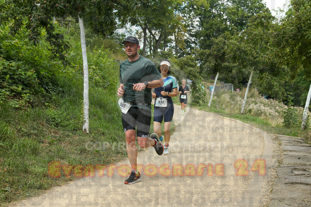 250824_1419_EX1_5785 | Sportfotografie im Rhein-Sieg Kreis, Köln, Bonn, NRW, Rheinland Pfalz, Hessen, etc. Unser Tätigkeitsfeld umfasst den Laufsport vom Volkslauf über den Marathon, Duathlon, Triathon bis zum Ultralauf wie Kölnpfad Ultra oder Schindertrail.