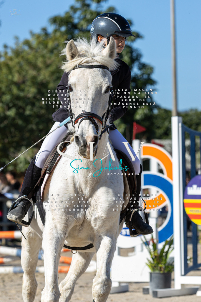 IMG_8664 | s-jay-photography - Realisiert mit Pictrs.com