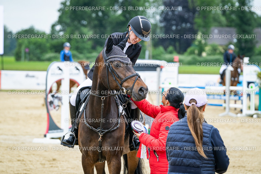 DSC03848 | Pferdegrafie