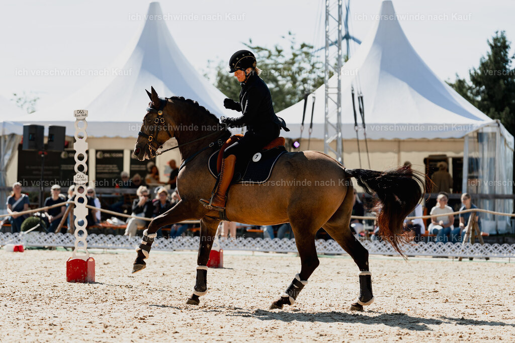 Katja7_FHC2025-08990 | working equitationturnier fotograf videograf stoibphotography marixx film working equitation deutschland reitsport turnierfotografie eventfotografie equestrian events