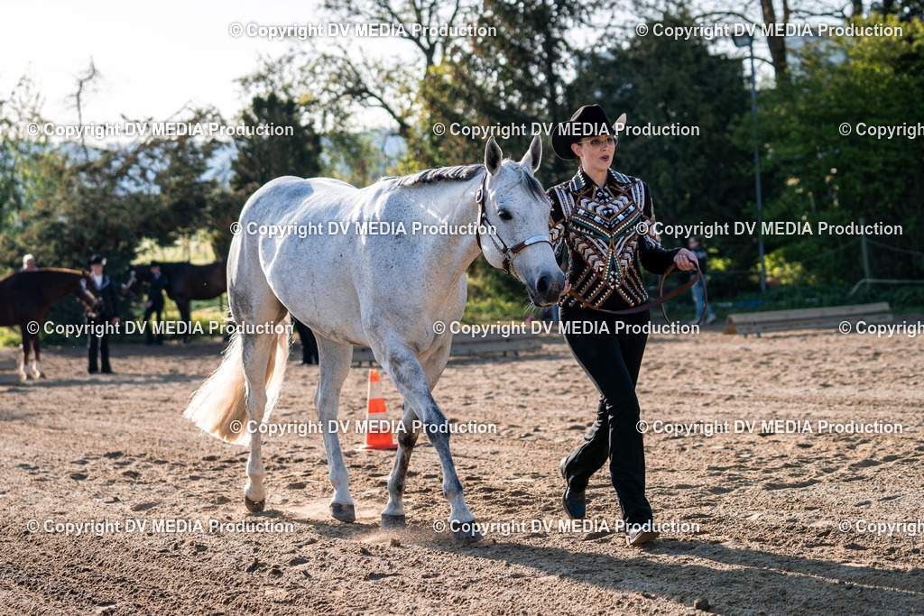 Balingen Tag 4-13 | dv-media-shop - Realisiert mit Pictrs.com