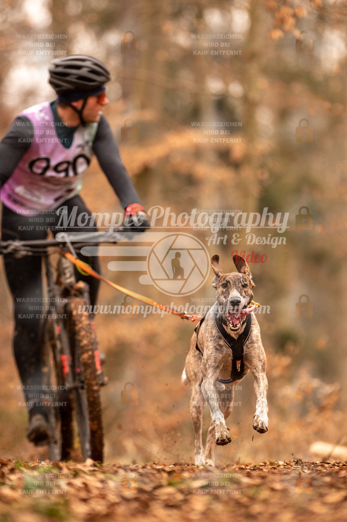 AKM_ST_2023_SAM_Bike-84 | PayLife