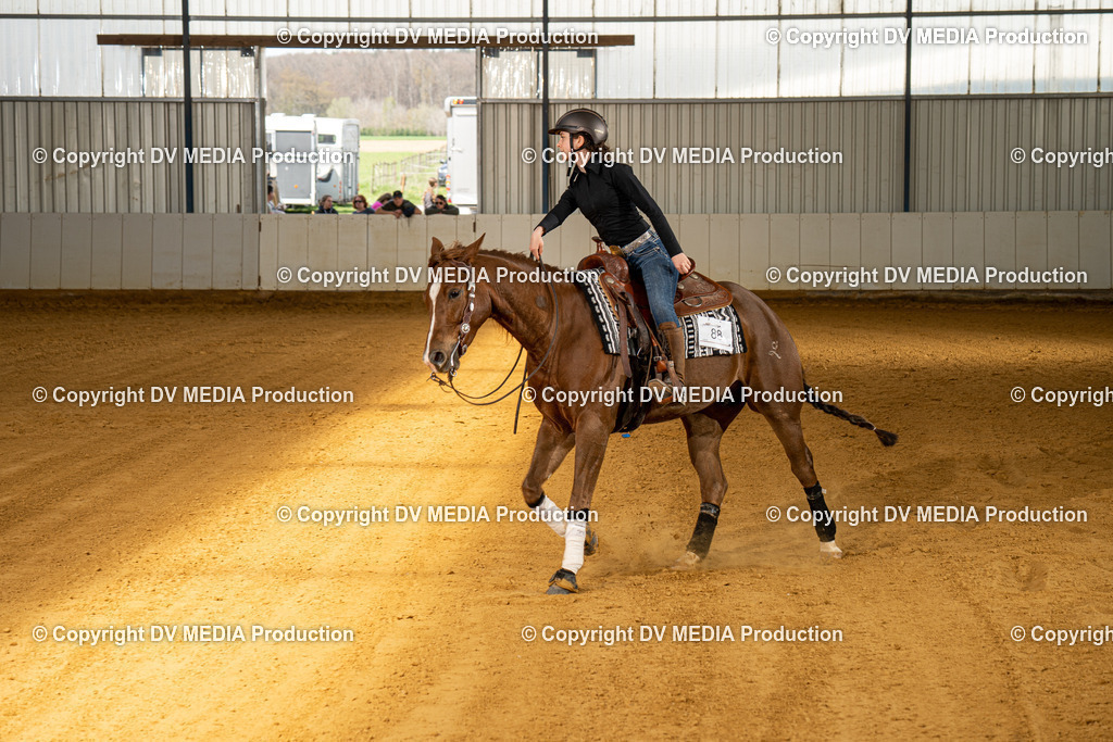 MIT00243 | dv-media-shop - Realisiert mit Pictrs.com