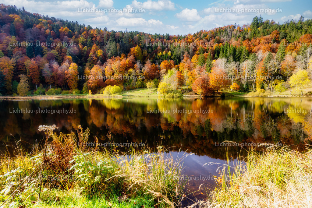 Schöner See im Süd Schwarzwald | Der Nonnenmattweiher ist ein mittels Damm aufgestauter See mit einer Moor- bzw. Torfinsel und ein ihn und seine Umgebung umfassendes namensgleiches Naturschutzgebiet im Südschwarzwald und Naturraum Hochschwarzwald in Baden-Württemberg.  - Realized with Pictrs.com