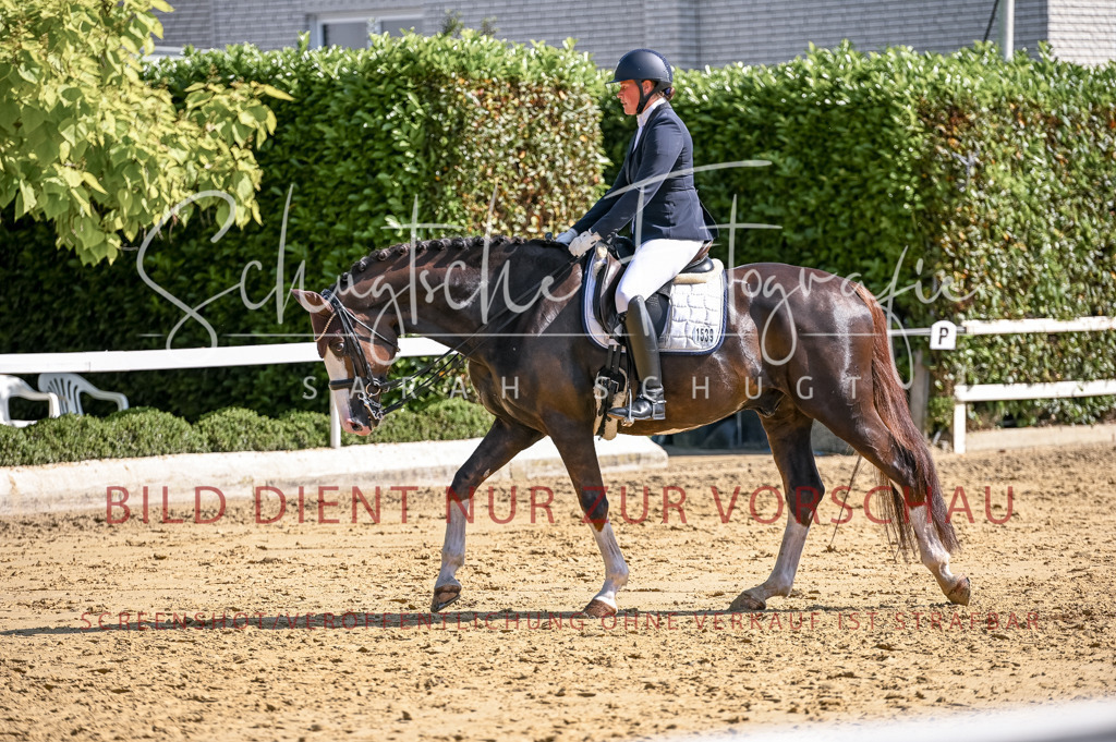 Schugtsche-Aluta25-52.Dressurprf.M2Kand-384 | Schugtsche Fotografie - Realisiert mit Pictrs.com