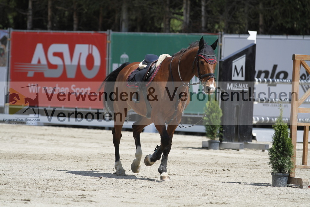 _MG_7406 | equestrian-live-com