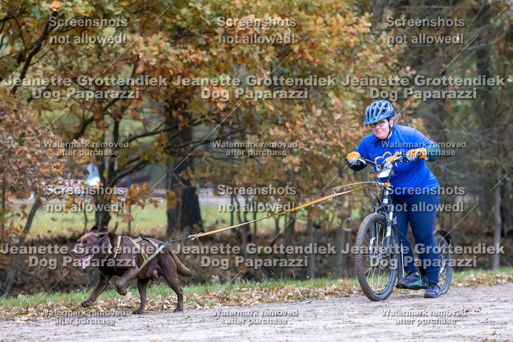 Dog Paparazzi - SD CaniX Championship 2025-191 | Dog Paparazzi Jeanette Grottendiek Fotografie & Videografie - Realisiert mit Pictrs.com