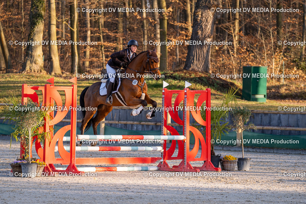 DSC-206 | dv-media-shop - Realisiert mit Pictrs.com