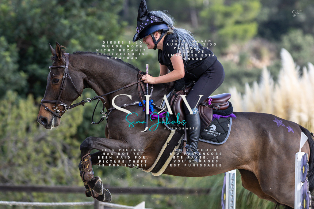 IMG_3308 | s-jay-photography - Realisiert mit Pictrs.com