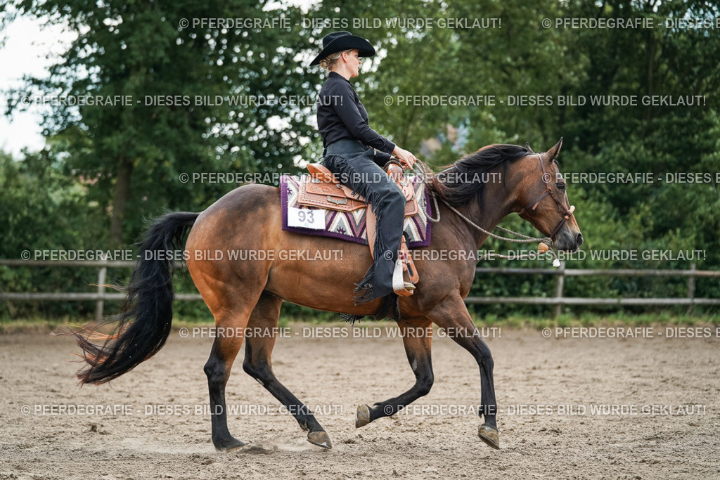 DSC03424 | Pferdegrafie