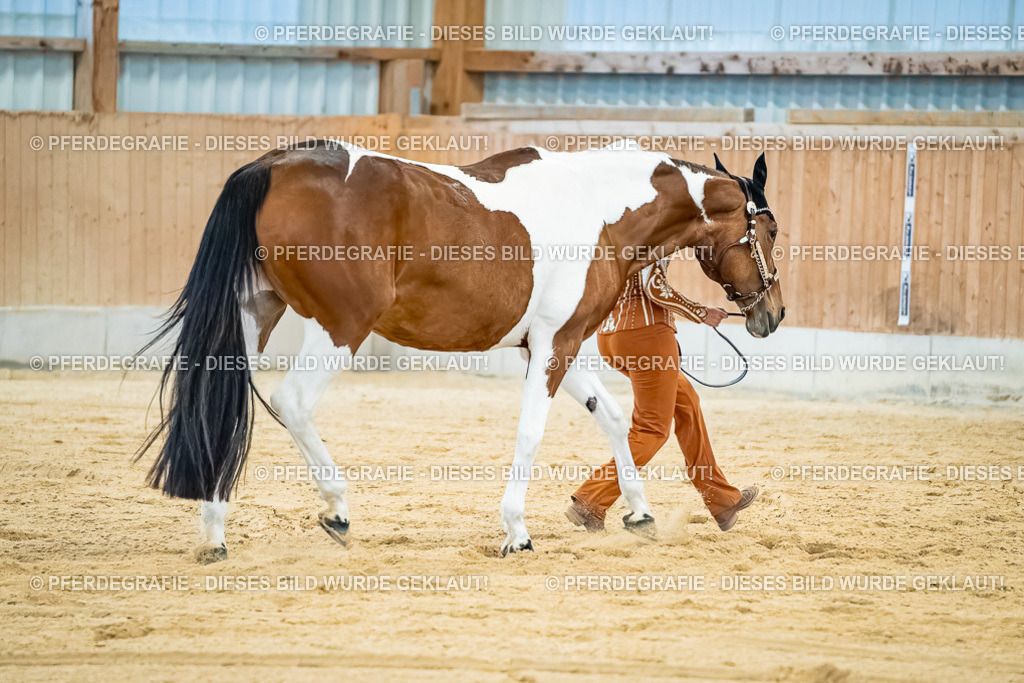 DSC09713 | Pferdegrafie