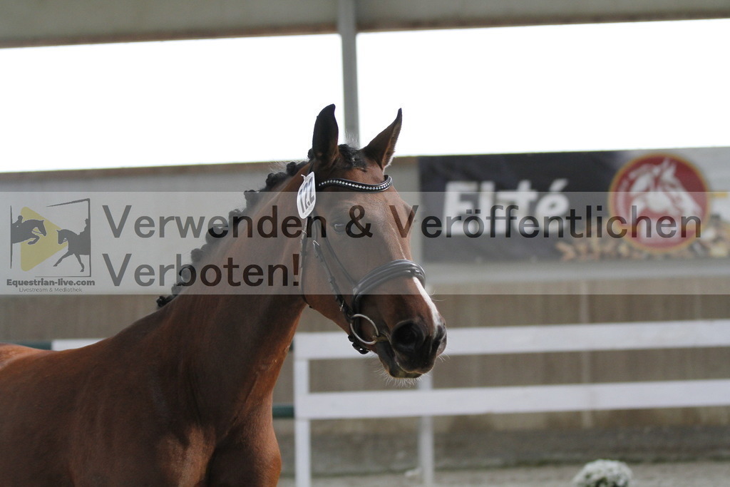 _MG_9571 | equestrian-live-com
