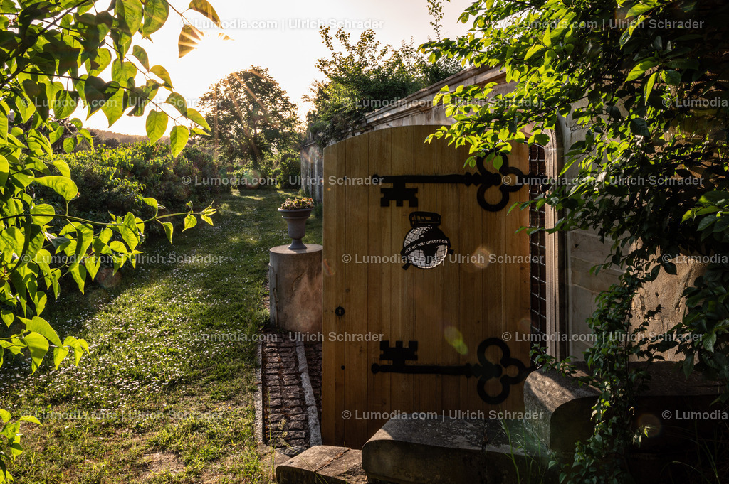 10049-13294 - Abendliches Quedlinburg | Stockfoto und Bilderpool mit Bildmaterial aus Deutschland, dem Harz, Halberstadt, Quedlinburg, Wernigerode und weltweit. Qualitativ hochwertige und professionelle Fotos anschauen und kaufen. - Realisiert mit Pictrs.com