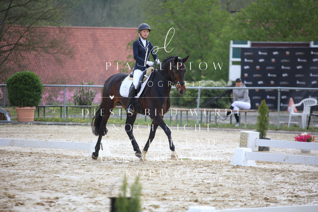 IMGT4995 | pl-fotografie