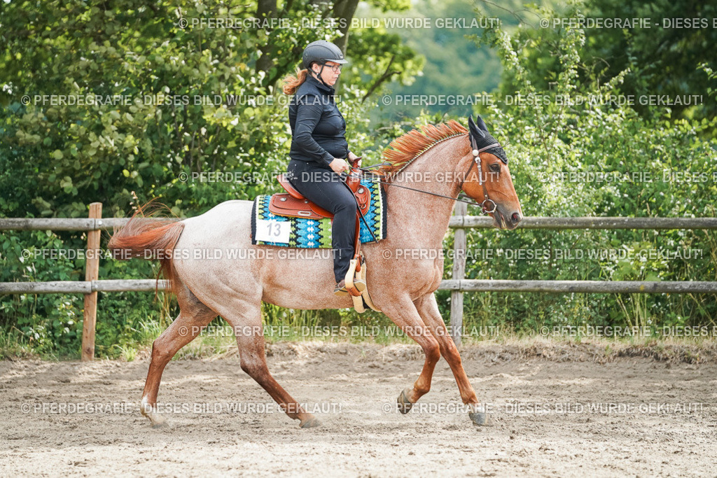 DSC04319 | Pferdegrafie