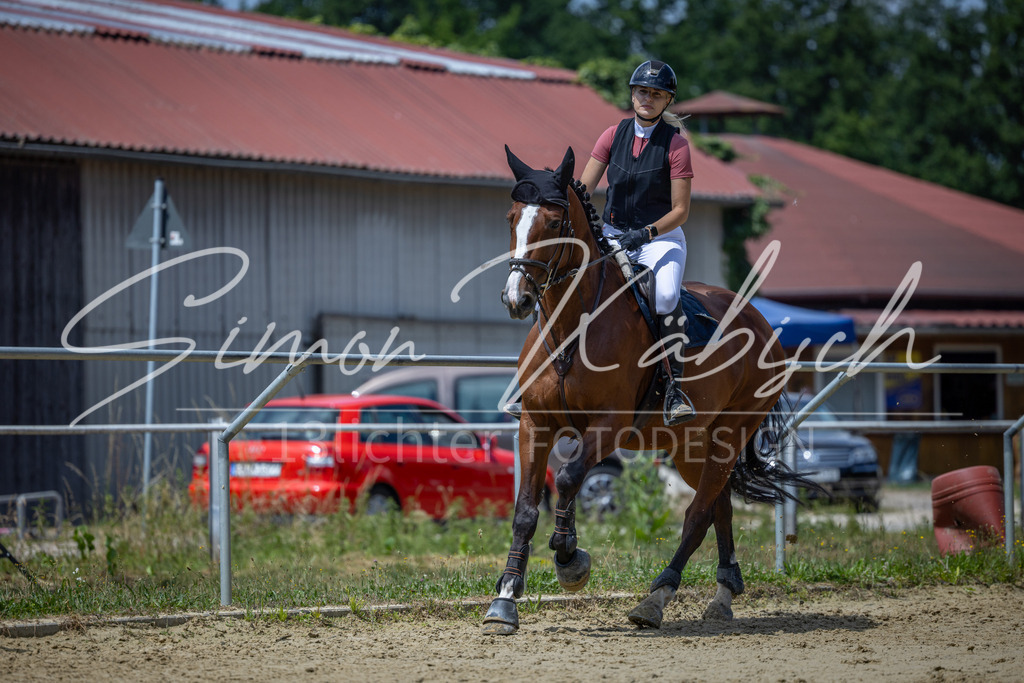 20260704-_3LI8680 | Tierfotografie Pferde, Hunde, Katzen, Haustiere.
Turnierfotografie Reitturniere, Reiten, Springreiten, Dressur in Hanau, dem Main-Kinzig-Kreis und dem Rhein-Main- Gebiet um Frankfurt