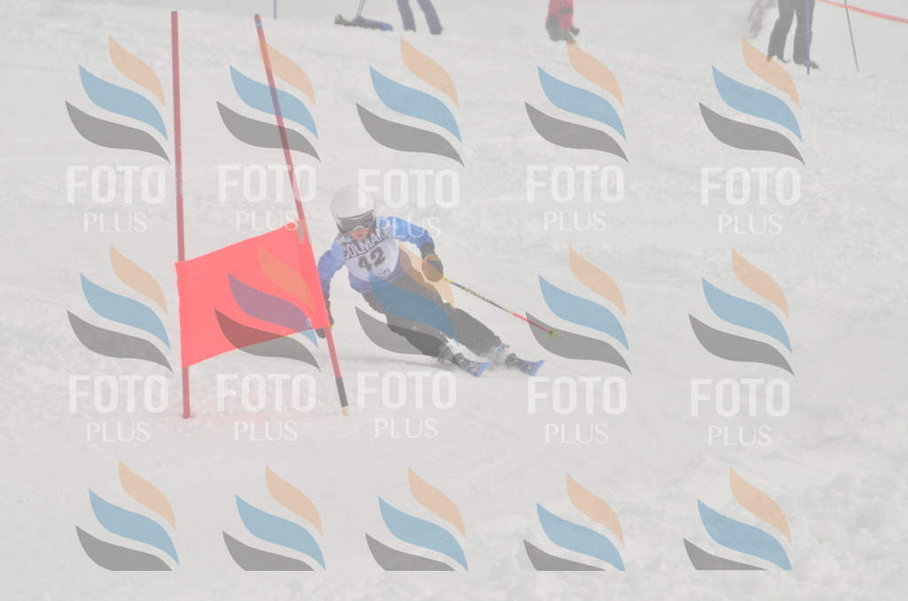 A5323 | holidayphoto