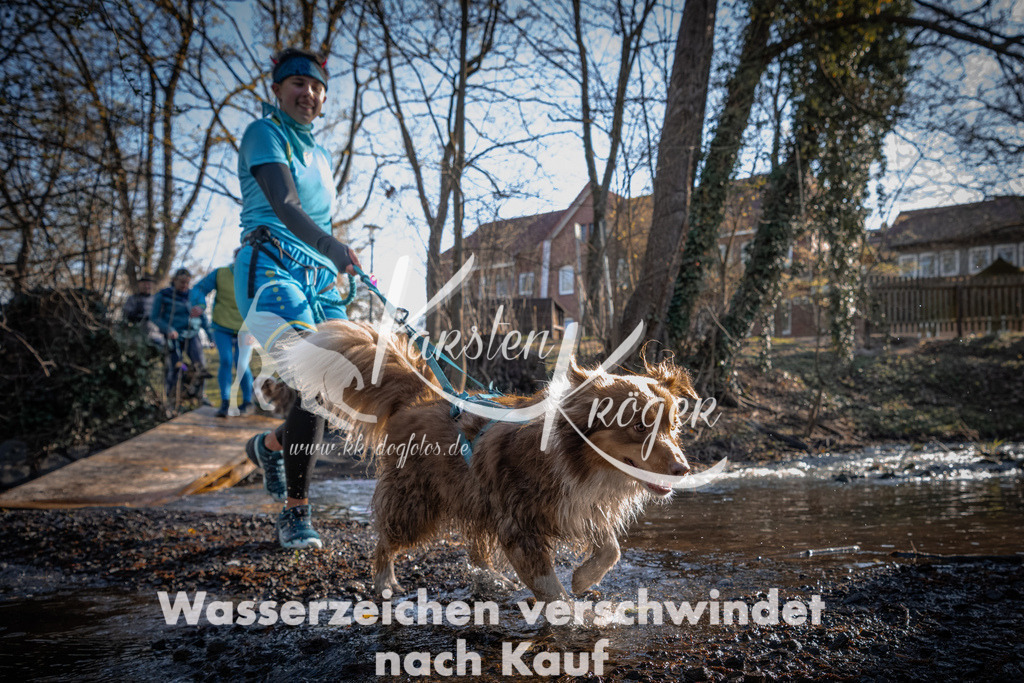 0828_ZZ91172 | kk-dogfotos