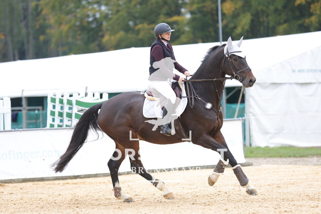 0P6A2556 | Willkommen bei Brunnmayr - Design & Fotografie – Ihrem Spezialisten für Reitturniere und Pferdeveranstaltungen in Oberösterreich, Salzburg und Bayern! Seit über 17 Jahren sind wir leidenschaftlich dabei.
