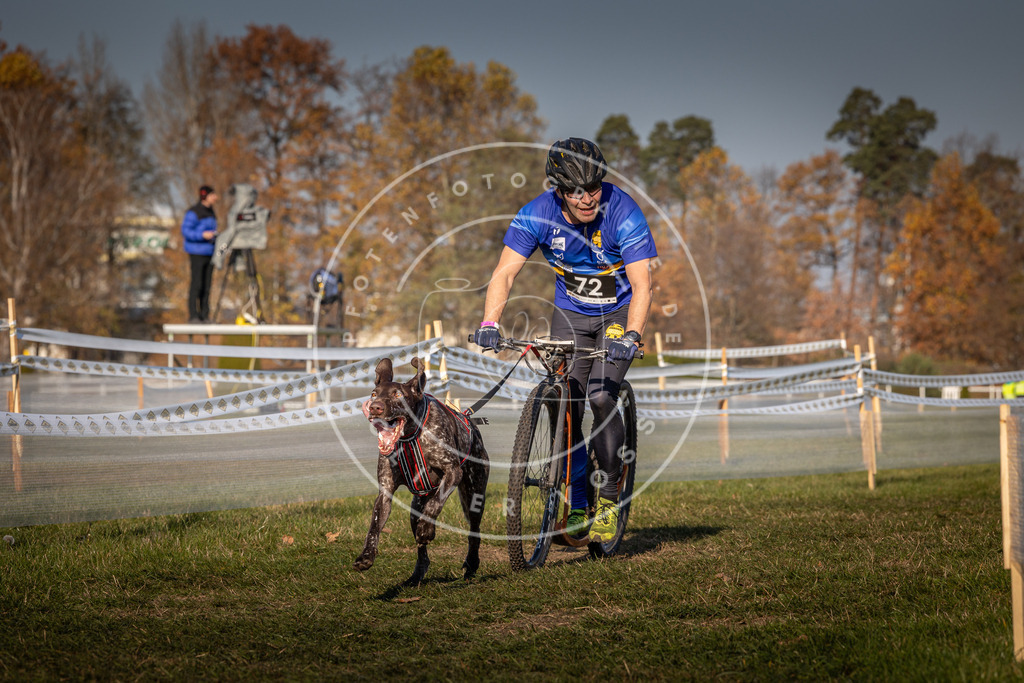 CaniXpix_0L8A5585 | Hundefotografie, Tierfotograf, Pfotenfotografie, Fotoshooting Hund, Hunde Portrait, Hundesport, Hundeportraits, Heideshooting, Hunde, Sportfotograf, Hundefotograf, Turnierhundsport, THS,  - Realisiert mit Pictrs.com