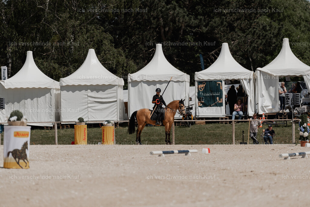 WE_ST_Stoib_319_PI2025_1281 | Pferd International München 2025