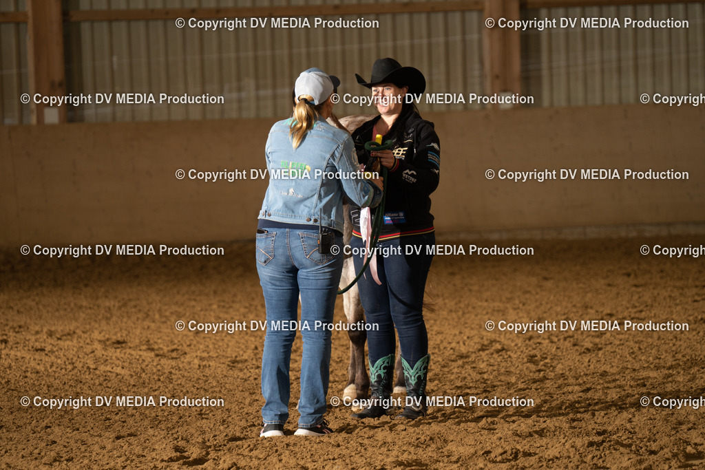 LAU01077 | dv-media-shop - Realisiert mit Pictrs.com