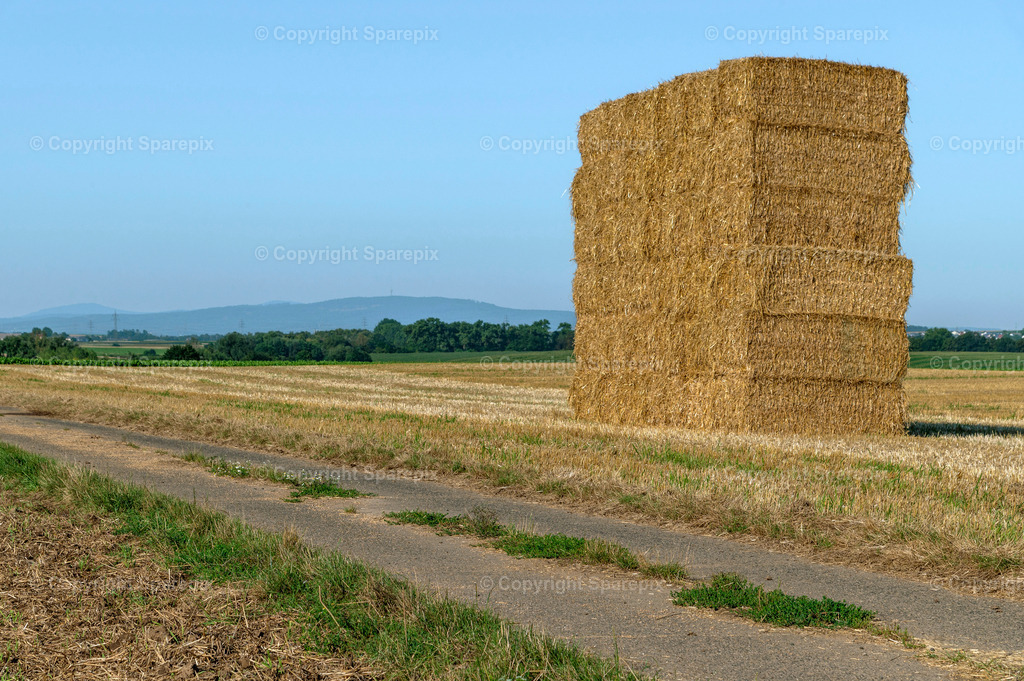 CAR_Agri_Stubblefield16 | Camera height 1,30m - light 7/40° - Realisiert mit Pictrs.com
