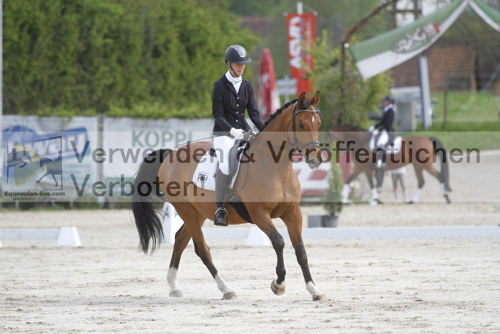 _MG_8167 | equestrian-live-com