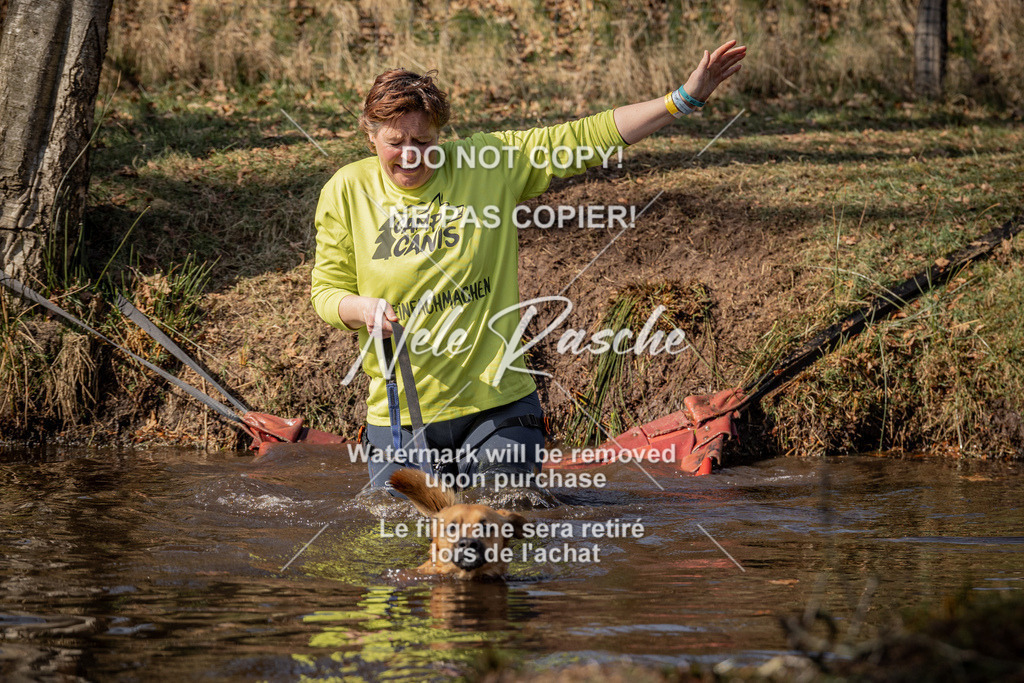 nelerasche_FS1330-1400_70 | nelerasche