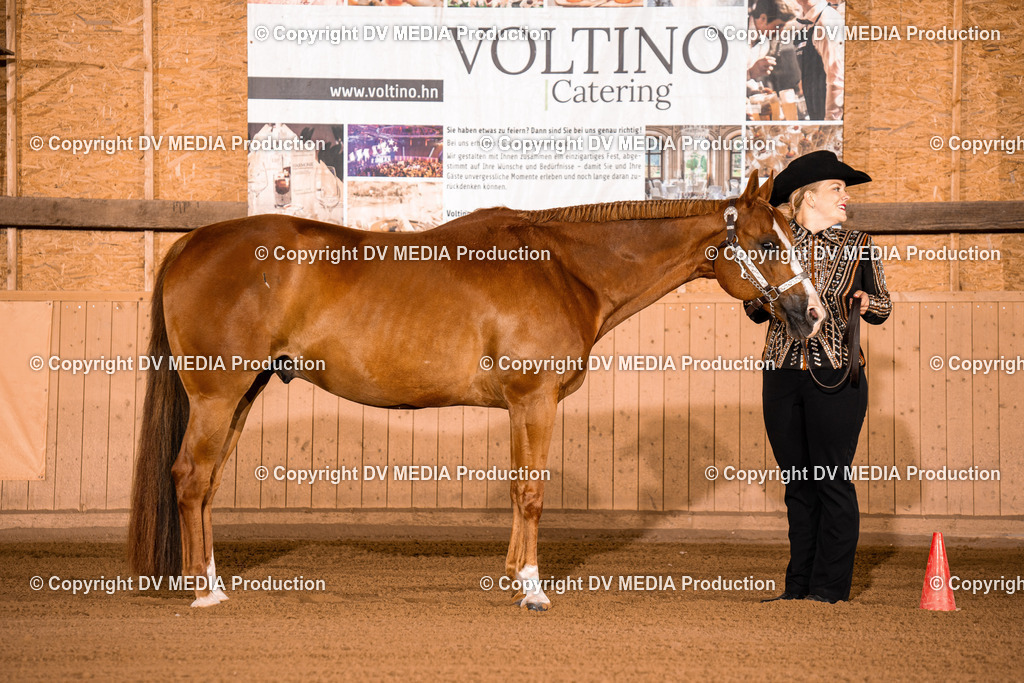 NE100016 | dv-media-shop - Realisiert mit Pictrs.com