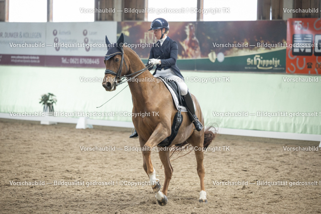 _D5A6162 | Emotionale Pferde- & People-Fotografie rund um Heidelberg, Leimen & Umgebung. Natürliche Fotos von Pferd, Mensch & Familie. Jetzt Termin sichern!