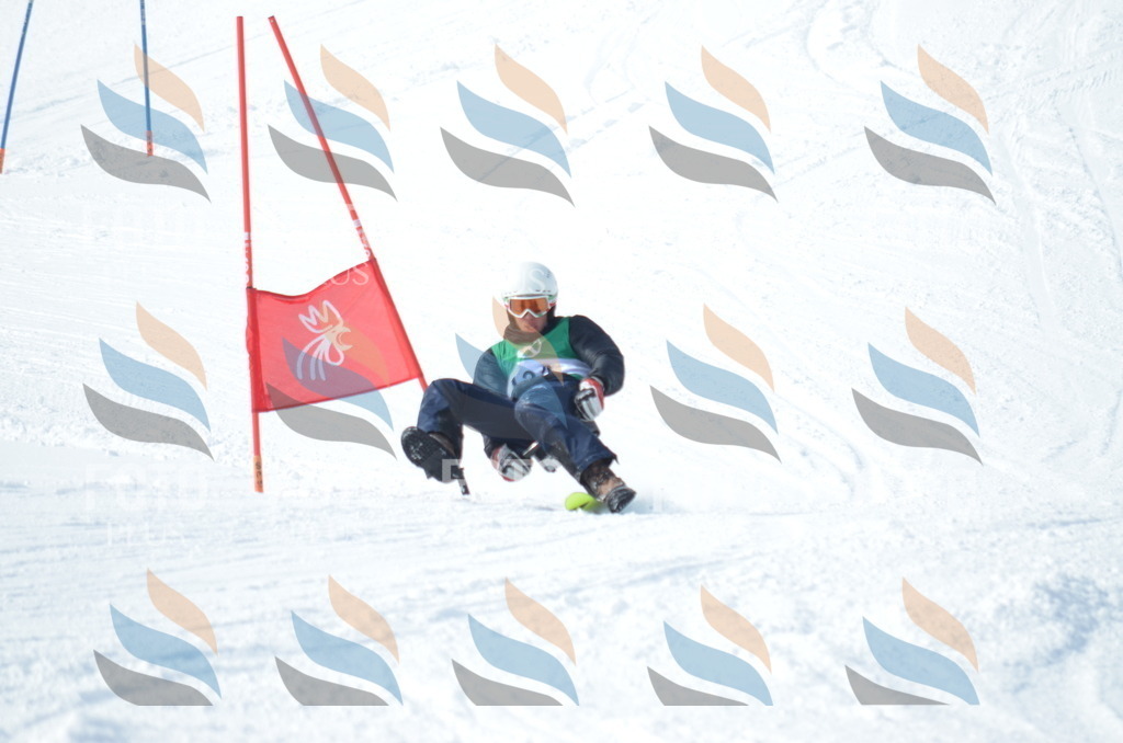 D9283 | holidayphoto