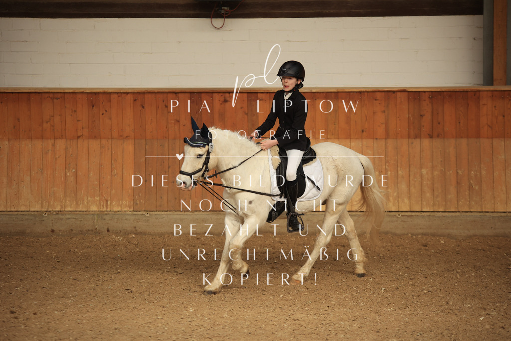 IMGT5556 | pl-fotografie