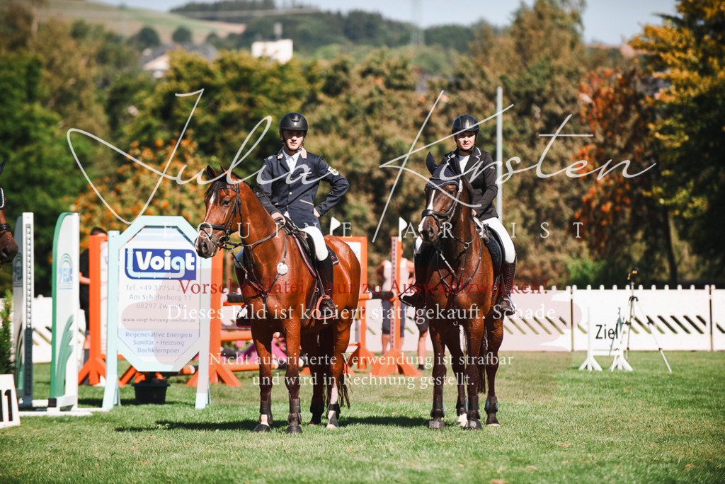 DSC_2601 | Pferde- und Turnierfotografie in Westsachsen. Pferdeportraits, Auftragszeichnungen und intuitive Kunst.