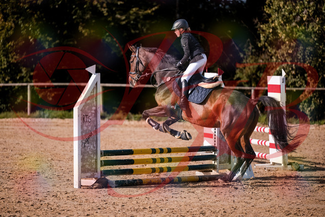 2026_10_03_Siefer-Hof_155916_Z81_79111977 | Professionelle Reitsport-, Turnier- und Eventfotografie von Robert Broda. Galerien mit ausgewählten und bearbeiteten Bildern direkt online ansehen und bestellen.