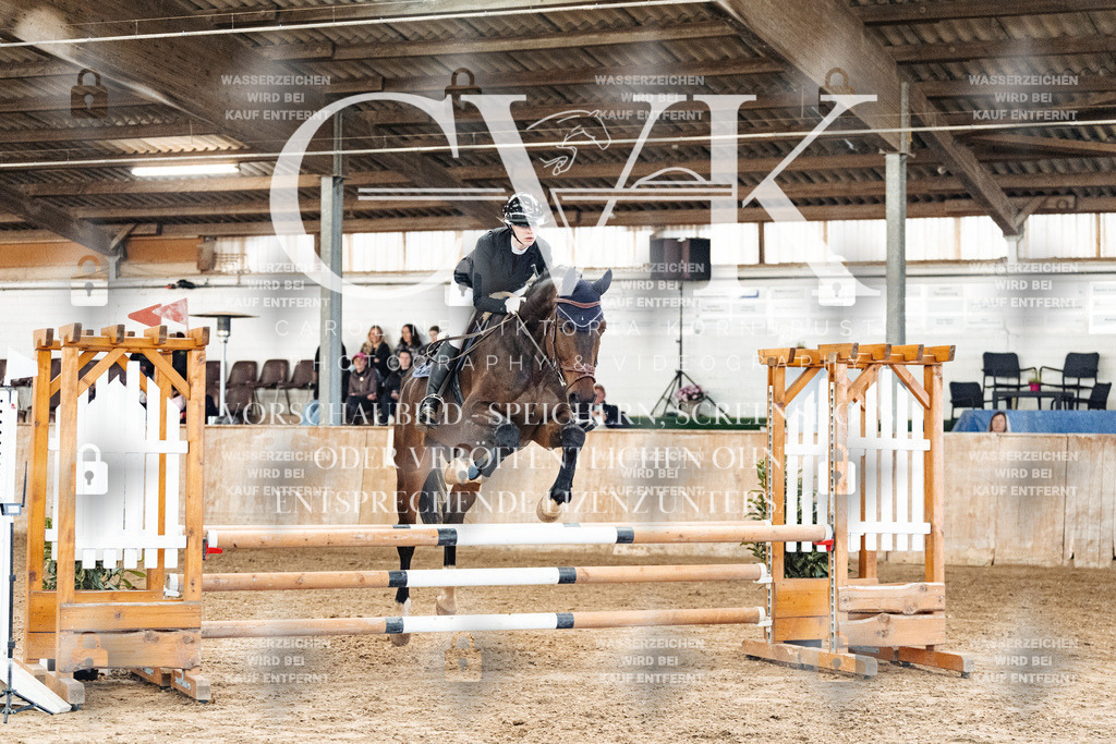 CK904564 | Turnierfotografie Pferdefotografie Trier Rheinland-Pfalz Pferdesport Reitsport Tierfotografie Sportfotografie Pferdevideo Pferdevideografie Equestrianvideography equestrianphotography  - Realized with Pictrs.com